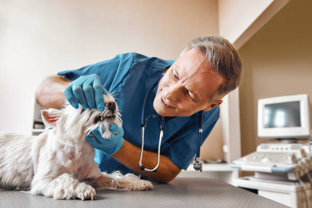 Best Same-Day Emergency Dental Services in Factoryville, PA